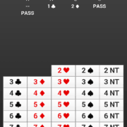 The Bridge+More solution - the bridge revolution - for both club and private use